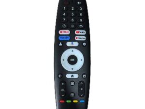 CONTROL BLAUPUNKT TCO-064