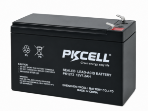 BATERIA SECA 12V 7.2A PKCELL