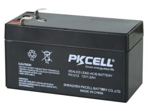 BATERIA SECA 12V 1.2A PKCELL