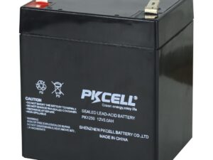 BATERIA SECA 12V 5A PKCELL
