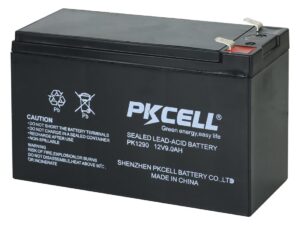 BATERIA SECA 12V 9A PKCELL